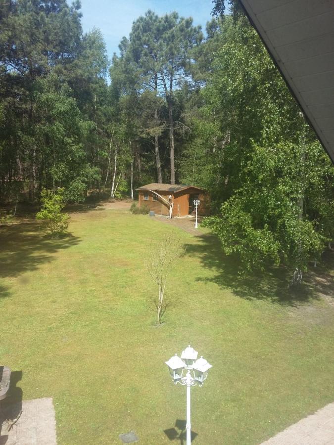 B&B La Foret De Charmeuse Ruaudin Экстерьер фото